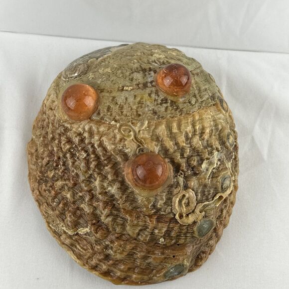 Vintage MCM Large Abalone Shell Footed Bowl Dish Smudge Stick Candy Trinket - Picture 8 of 8